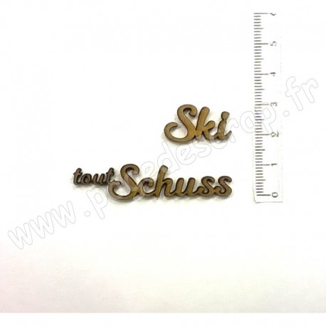 PDS SUJET BOIS SKI ET TOUT SCHUSS COLLECTION SKI