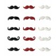 15 BRADS MOUSTACHES