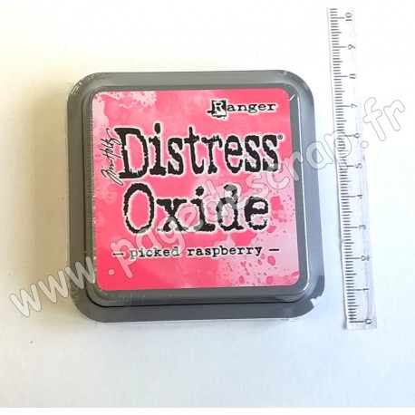 RANGER TIM HOLTZ DISTRESS OXIDE PICKED RASPBERRY