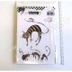 CARABELLE STUDIO CLING STAMP A6  DES P'TITS CHATS