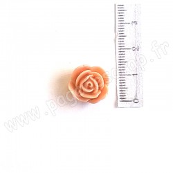 EPHEMERIA ROSE EN RESINE BEIGE ROSÉ FONCÉ