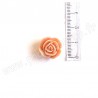 EPHEMERIA ROSE EN RESINE BEIGE ROSÉ FONCÉ