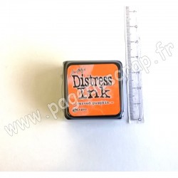 TIM HOLTZ DISTRESS MINI INK CARVED PUMPKIN