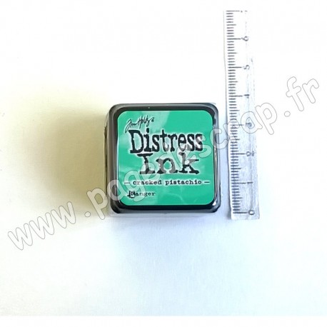 TIM HOLTZ DISTRESS MINI INK CRACKED PISTACHIO