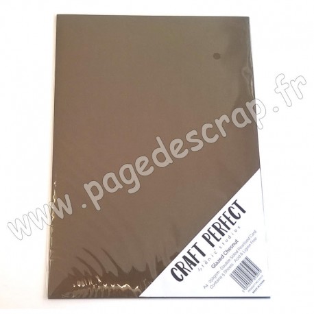 TONIC STUDIOS CRAFT PERFECT PEARLESCENT CARD A4 x5 250g GLAZED CHESNUT