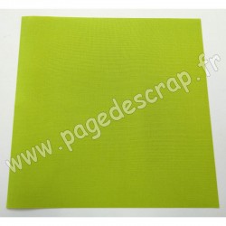 13020082   ARTEMIO TOILE POUR RELIURE 30cm x 30cm TILLEUL