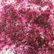 CS23   PAPERARTSY INFUSIONS MAGENTA 15ml