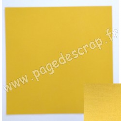 2928-009   FLORENCE CARDSTOCK TEXTURE 30.5cm x30.5cm BEE