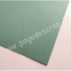 FLORENCE CARDSTOCK TEXTURE 30.5cm x30.5cm IGUANA