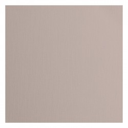 2928-085   FLORENCE CARDSTOCK TEXTURE 30.5cm x30.5cm RHINO