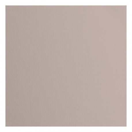 2928-085   FLORENCE CARDSTOCK TEXTURE 30.5cm x30.5cm RHINO