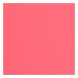 2928-022   FLORENCE CARDSTOCK TEXTURE 30.5cm x30.5cm ANÉMONE