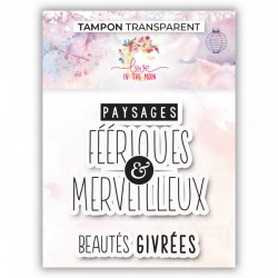 TCP2-026    LOVE IN THE MOON TAMPONS CLEAR BEAUTÉS GIVRÉES