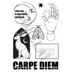 LORELAI DESIGN COLLECTION CARPE DIEM TAMPONS CLEAR TO THE MOON