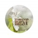 LORELAI DESIGN COLLECTION EXPLORE BADGE BEST