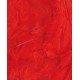 PLUMES ROUGES