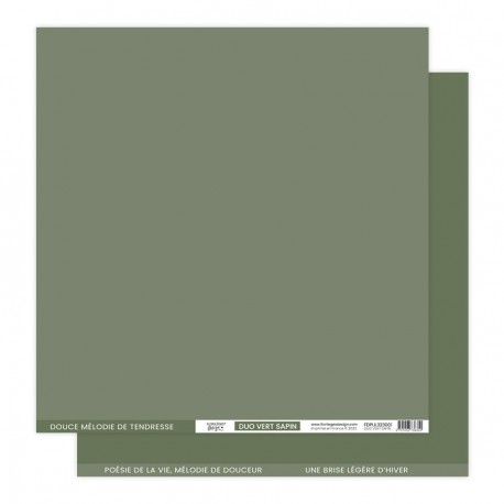 FDPUL323001   FLORILEGES DESIGN  PAPIER UNI DUO VERT SAPIN