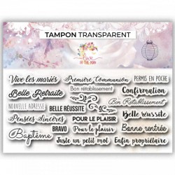 LM-LTM-0378    LOVE IN THE MOON TAMPONS CLEAR EXPRESSIONS CARTERIE 2