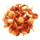GRANDS BRADS ORANGE