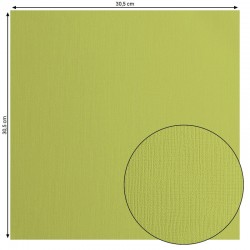 2928-070   FLORENCE CARDSTOCK TEXTURE 30.5cm x30.5cm PISTACHIO