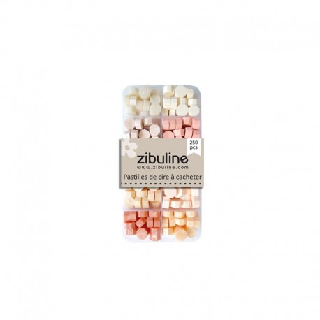 122309BPCS   ZIBULINE PASTILLES DE CIRE À CACHETER BOÎTE CAMAÏEU CORAIL SAUMON