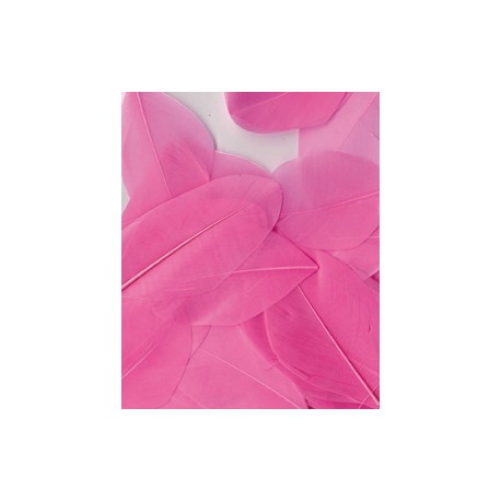 PLUMES ROSE CLAIR