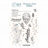 HPLF-ED-T2413  HA PI LITTLE FOX COLLECTION EDELWEISS TAMPONS CLEAR WANDERLUST