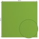 2928-074   FLORENCE CARDSTOCK TEXTURE 30.5cm x30.5cm FROG