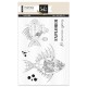 SOK-REV-T4   SOKAÏ COLLECTION RÊVERIE TAMPONS CLEAR EXPLORER