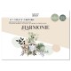 FDPI125002    FLORILEGES DESIGN COLLECTION HARMONIE KIT CRÉATIF 12 CARTES