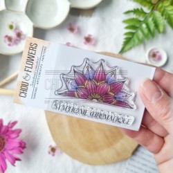 CHOU & FLOWERS COLLECTION VIBRATIONS TAMPON CLEAR SYMPHONIE