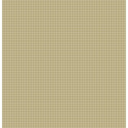 CARDSTOCK POIS LIGNE KRAFT
