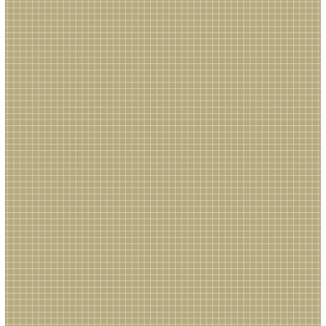 CARDSTOCK POIS LIGNE KRAFT