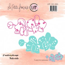 LPF-CEC-D01   LA PETITE FRANÇAISE DIES COLLECTION COQUILLAGES ET CRUSTACÉS