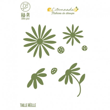 HPLF-CIT-D2512   HA PI LITTLE FOX COLLECTION CITRONNADE MATRICES DE DÉCOUPE MARGUERITES