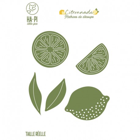 HPLF-CIT-D2511   HA PI LITTLE FOX COLLECTION CITRONNADE MATRICES DE DÉCOUPE CITRONS