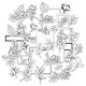 FDDC125003   FLORILEGES DESIGN COLLECTION HARMONIE 32  DIE CUTS CALQUE