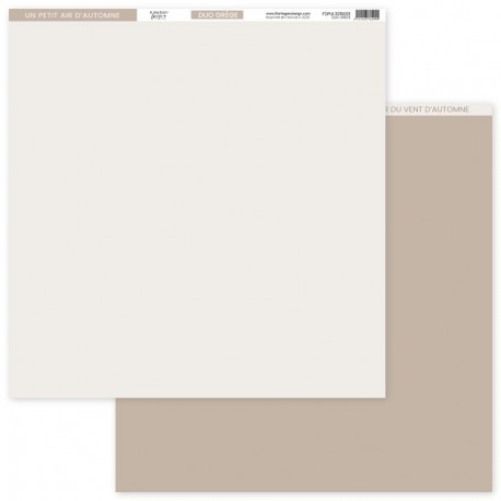 FDPUL325003   FLORILEGES DESIGN  PAPIER UNI DUO GRÈGE