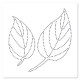 FDS325003   FLORILEGES DESIGN COLLECTION GINKGO POCHOIR DE PIERCING 15x15cm FEUILLES SIMPLES