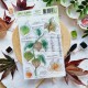 BOI110   CHOU & FLOWERS COLLECTION L'ORÉE DES BOIS TAMPON CLEAR PHYSALIS