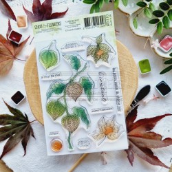 BOI110   CHOU & FLOWERS COLLECTION L'ORÉE DES BOIS TAMPON CLEAR PHYSALIS