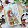 BOI112   CHOU & FLOWERS COLLECTION L'ORÉE DES BOIS TAMPON CLEAR MUSHROOMS