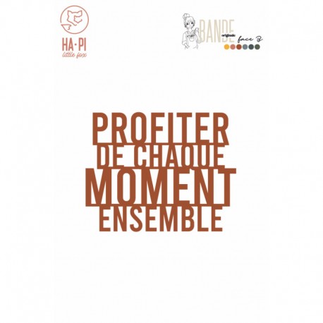 HPLF-BOFB-D2517  HA PI LITTLE FOX COLLECTION BANDE ORIGINALE FACE B MATRICES DE DÉCOUPE CHAQUE MOMENT