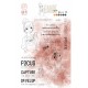 HPLF-BOFB-T2517   HA PI LITTLE FOX COLLECTION BANDE ORIGINALE FACE B TAMPONS CLEAR  CLIC CLAC