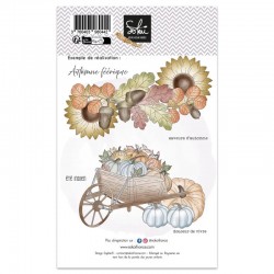 SOK-RMH-T3   SOKAÏ COLLECTION RACONTE MOI UNE HISTOIRE TAMPONS CLEAR SAVEURS D'AUTOMNE