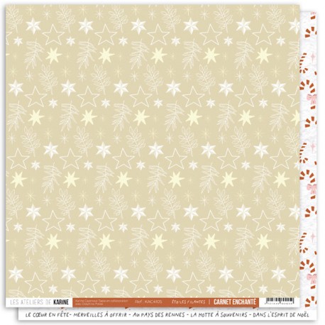 KAC4105   LES ATELIERS DE KARINE CARNET ENCHANTÉ ÉTOILES FILANTES 30.5 cm x 30.5 cm
