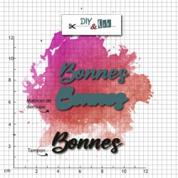 72511-01    DIY & Cie DUO DIE TAMPON CLEAR BONNES