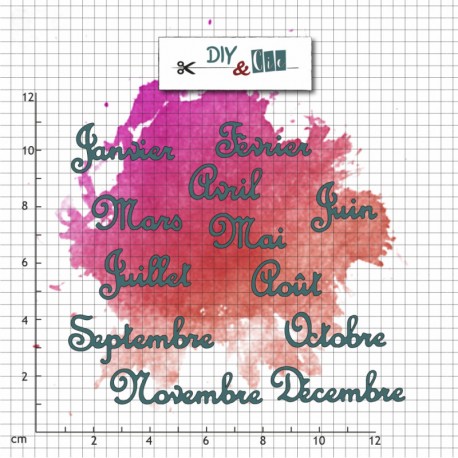 12511-02   DIY & Cie DIES MOIS DE L'ANNÉE V2