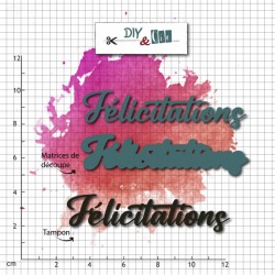 72602-01    DIY & Cie DUO DIE TAMPON CLEAR FÉLICITATIONS