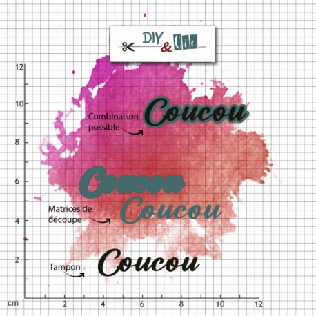 72604-01    DIY & Cie DUO DIE TAMPON CLEAR COUCOU